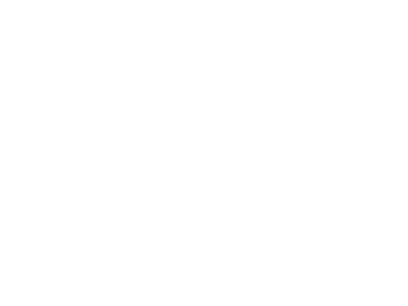 logo-12field