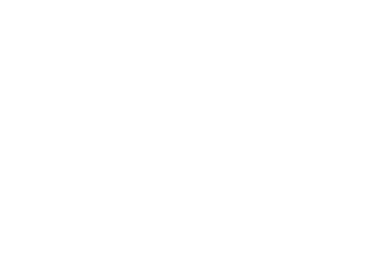 nelvana-logo